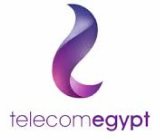 Telecom Egypt logo